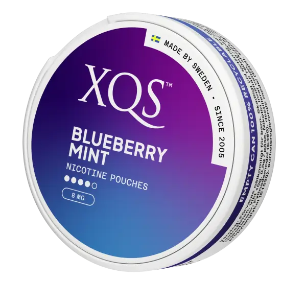 XQS Blueberry Mint 16MG - Image 3